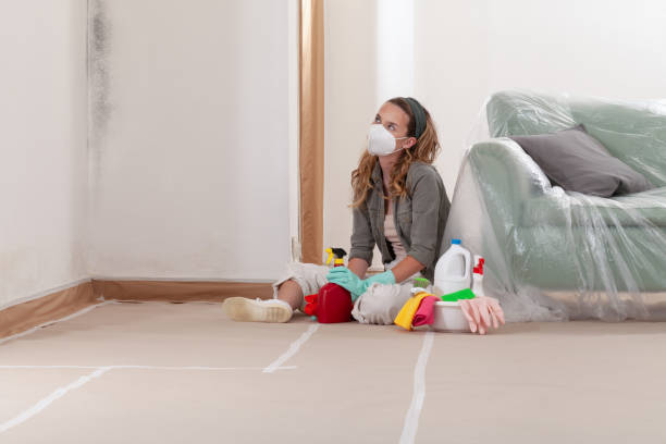 Reliable Mold Remediation contractor in Hudsonville, MI by WQB Mold Removal